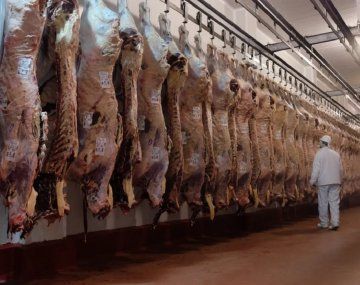 El Gobierno suspendió la exportación de carne