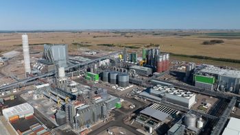 upm 2: las claves de la planta que posicionara al pais como lider en la produccion de celulosa upm 2: las claves de la planta que posicionara al pais como lider en la produccion de celulosa