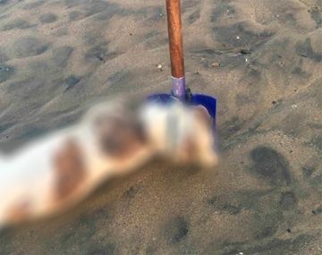 Encuentran a un perro muerto atado a una pala en la playa