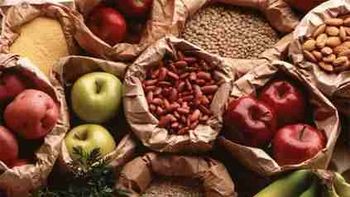 crecen un 37 por ciento las exportaciones de agroalimentos crecen un 37 por ciento las exportaciones de agroalimentos