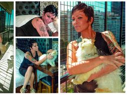 daniela cardone: mi gato todavia tiene su olor y lo cepillo cada tanto daniela cardone: mi gato todavia tiene su olor y lo cepillo cada tanto