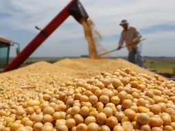 Córdoba: la Justicia aceptó tramitar amparo colectivo contra las retenciones agropecuarias
