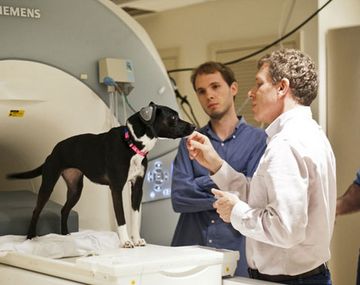 Un remedio podría alargar la vida