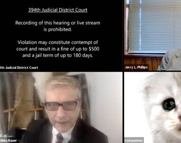 No soy un gato: un filtro de Zoom jugó una mala pasada a abogado y se viralizó
