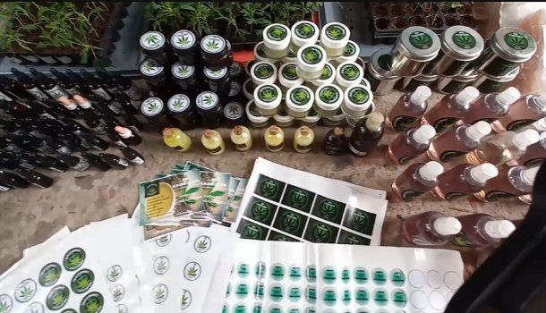 Detienen a una mujer que producía y vendía medicamentos a base de cannabis sin autorización