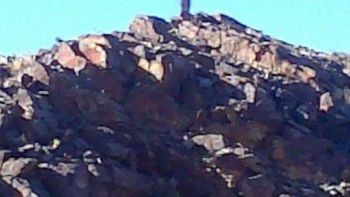 difundieron la imagen de una supuesta virgen en un cerro de san juan difundieron la imagen de una supuesta virgen en un cerro de san juan