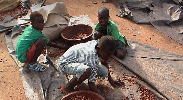 Foto Walk Free Foundation