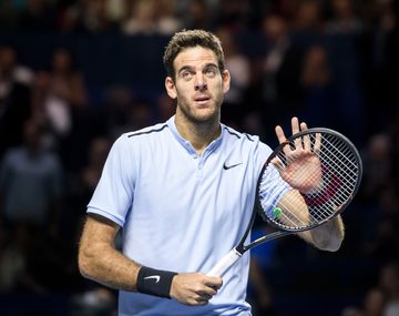 Juan Martín del Potro&nbsp;