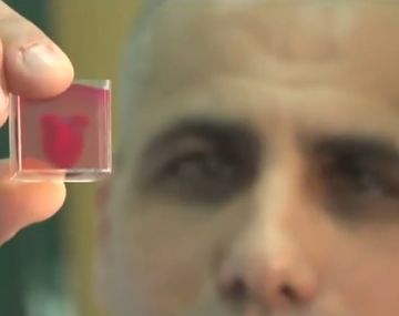 Crearon el primer corazón 3D con tejido humano