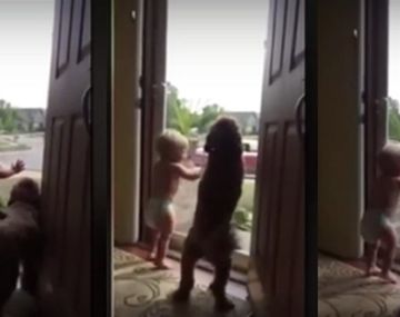 Imperdible reacción de un bebé y un perro
