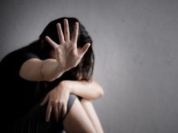 La OVD relevó casi 110 mil casos en CABA desde 2008 La OVD relevó casi 110 mil casos en CABA desde 2008