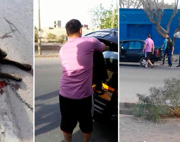Arrastran a un perro con un auto