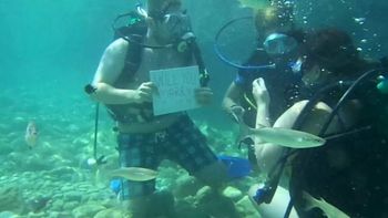 una propuesta de matrimonio bajo el agua que estuvo a punto de terminar mal una propuesta de matrimonio bajo el agua que estuvo a punto de terminar mal