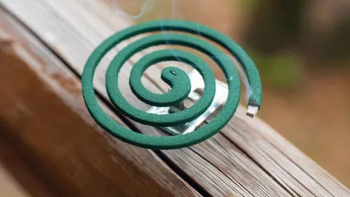 Truco casero: las claves de colocar un espiral en alcohol y clavos de olor Truco casero: las claves de colocar un espiral en alcohol y clavos de olor