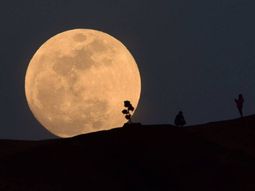 Se viene otra Superluna: ¿cuándo y cómo verla en la Argentina?