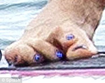 La mala pata de uno de los músicos más exitosos del rock