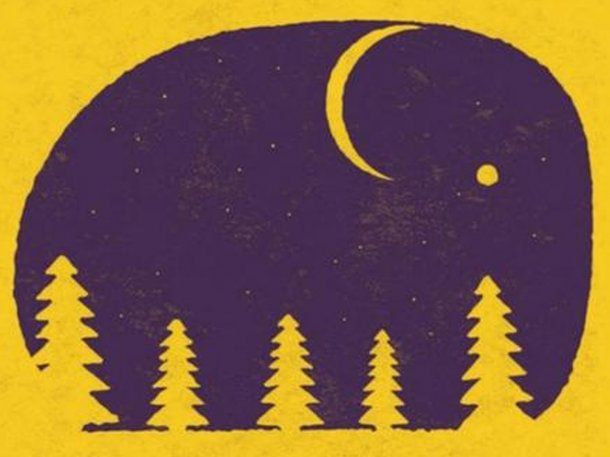 Test viral: lo primero que veas revelará si sos una persona sabia