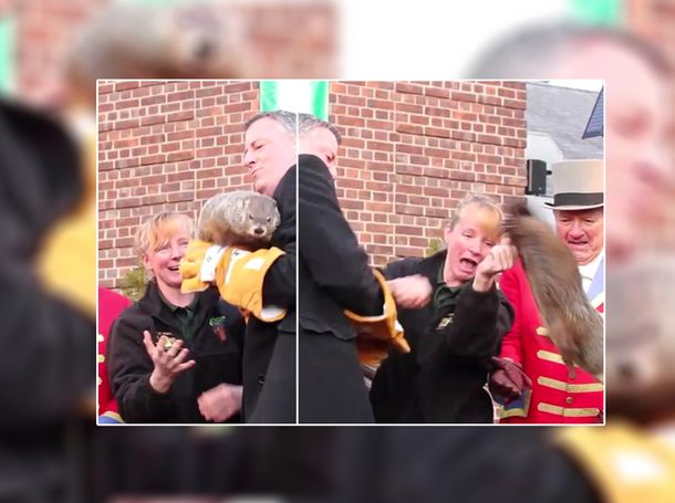 Acusan al alcalde de Nueva York de matar a una marmota durante un acto oficial