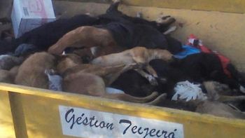 Gentileza: Lavoz.com.ar Gentileza: Lavoz.com.ar