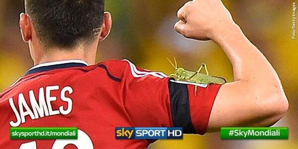 Un grillo se posó en el hombro de James Rodríguez en pleno festejo cafetero