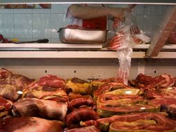 Carne - JH 7919