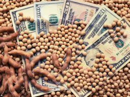 Gobierno prorrogó el Dólar Soja 4 tras reunión con productores