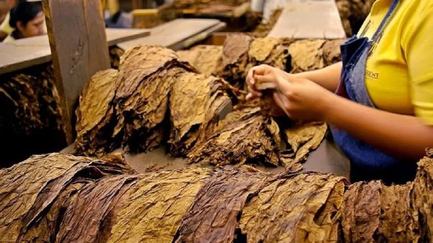 Tabacalera Sarandí negocia inversiones en Corrientes