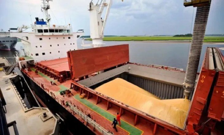Se descargaron 281.235 toneladas de granos en terminales portuarias bahienses