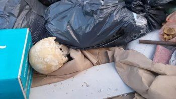 macabro hallazgo en mar del plata: encuentran un craneo humano cerca de la playa macabro hallazgo en mar del plata: encuentran un craneo humano cerca de la playa