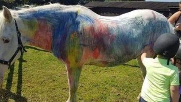 Pintan caballos en fiestas de cumpleaños