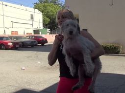 emotivo rescate de un perro que vivia en un estacionamiento