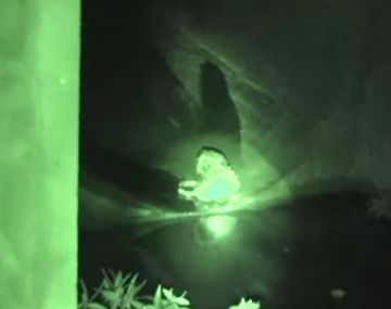 Emocionante rescate a un perro que vivía en las alcantarillas