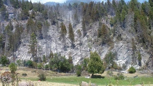 Nuevo incendio forestal en la cordillera: sospechan que fue intencional