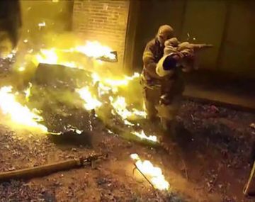 Peckrul atrapó al bebé en el aire