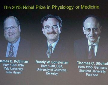 Dan el Nobel de Medicina a dos estadounidenses y un alemán