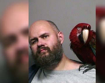 Buckner y su guacamayo