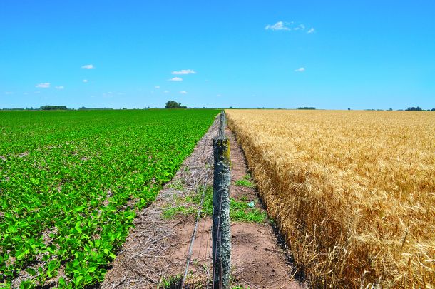 El agro dejó atrás el efecto de la sequía y será fundamental para la recuperación de las exportaciones en 2024.