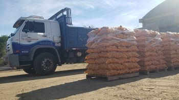 La producción nacional de papa uruguaya se vio fuertemente afectada por los efectos de la sequía. La producción nacional de papa uruguaya se vio fuertemente afectada por los efectos de la sequía.