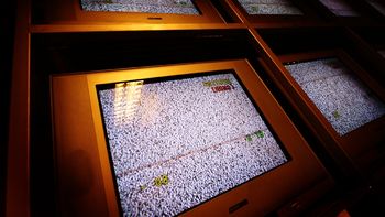 ¿como sera el nuevo sistema federal de medicion de rating? ¿como sera el nuevo sistema federal de medicion de rating?