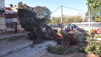 Tres muertos en Jujuy por un temporal Tres muertos en Jujuy por un temporal