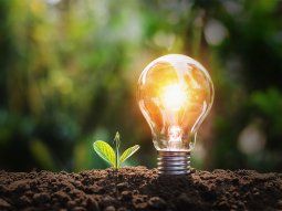 ¿como hace uruguay para que la sequia no afecte la distribucion de energia electrica? ¿como hace uruguay para que la sequia no afecte la distribucion de energia electrica?