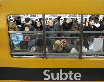 Ahora un perro complica el servicio de la línea B de subte