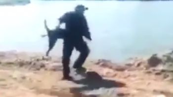 quiso arrojar a un perro al agua quiso arrojar a un perro al agua