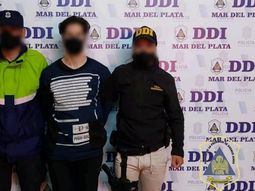 Detuvieron a un profesor por mandar pornografía y pactar un encuentro con una niña