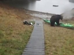 Llora y le pide por favor a un oso que no se coma su kayak