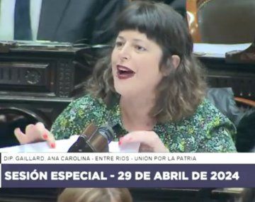 “Dale un rivotril que está sacada”: fuerte pelea en Diputados por la Ley Ómnibus