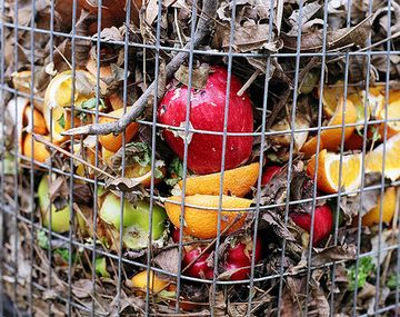 Cada porteño tira 30 kilos de comida en buen estado por año