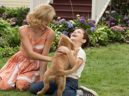 La película más emotiva que está en Netflix.