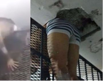 Se quiso fugar y quedó atrapado en una reja - Crédito: www.unosantafe.com.ar