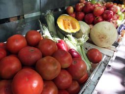 del mercado central a la ensalada, cuanto varia el precio del tomate del mercado central a la ensalada, cuanto varia el precio del tomate